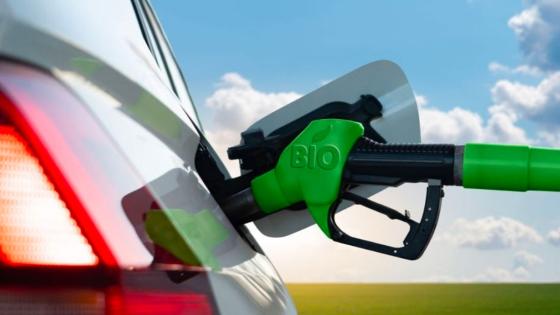 Los vehículos eléctricos pretenden reducir significativamente la tasa de contaminación en el ambiente.