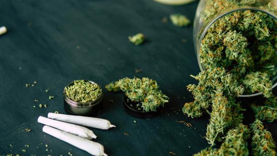 Cannabis de uso recreativo a un paso de ser aprobado en el Congreso Cannabis de uso recreativo a un paso de ser aprobado en el Congreso