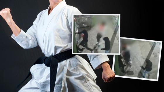 karateka karateka