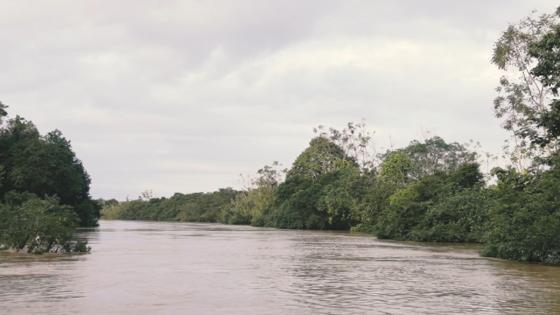 Minería en el Chocó: Un tesoro bajo tierra