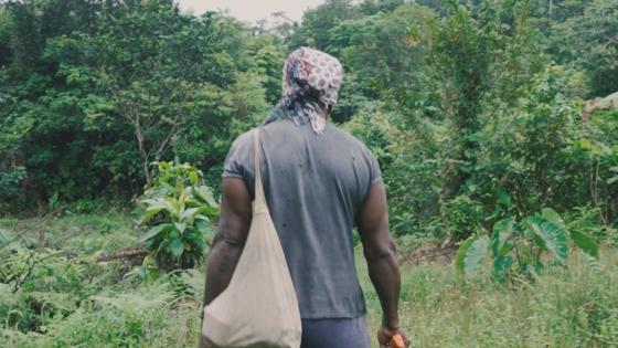 Minería en el Chocó: Un tesoro bajo tierra