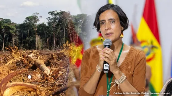 Deforestación en Colombia: Cifras revelaron reducción del 29% en 2022