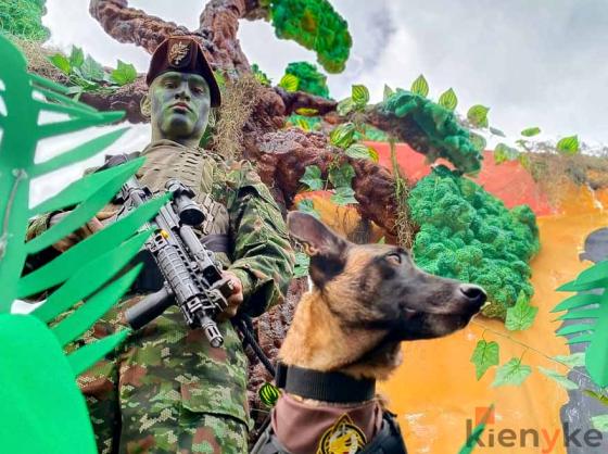 Las mejores imágenes del desfile del 20 de julio en Bogotá