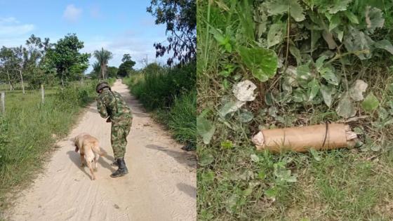Desactivan artefacto explosivo cerca de escuela en Arauquita Desactivan artefacto explosivo cerca de escuela en Arauquita