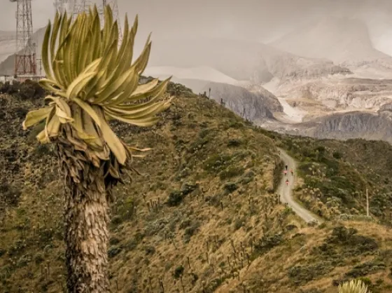 Festival de la Montaña: Aventura, naturaleza y running