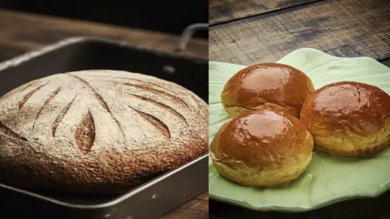 pan-indio pan-indio