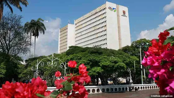 Elecciones 2023: ¿Quiénes son los candidatos a la Alcaldía de Cali? Elecciones 2023: ¿Quiénes son los candidatos a la Alcaldía de Cali?