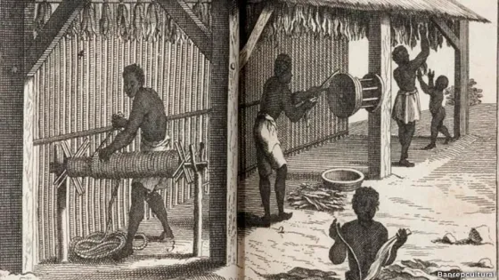 La historia del Palenque de Tadó, uno de los primeros pueblos libres de Colombia La historia del Palenque de Tadó, uno de los primeros pueblos libres de Colombia