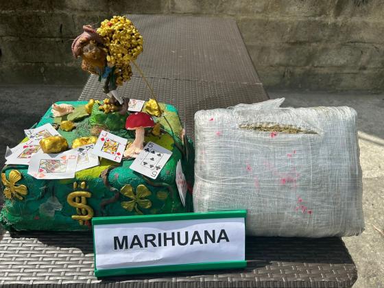 perro wilson halla pastel marihuana perro wilson halla pastel marihuana