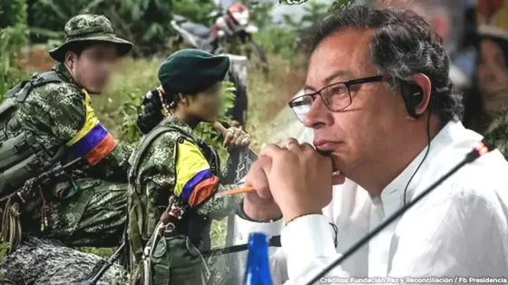farc-gobierno-cese-fuego farc-gobierno-cese-fuego