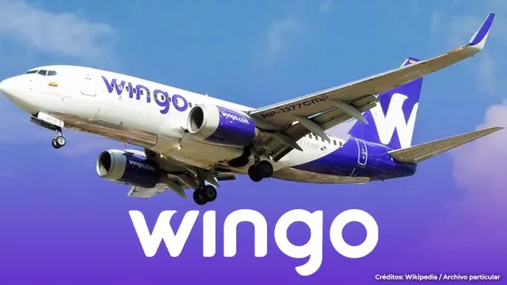 wingo wingo