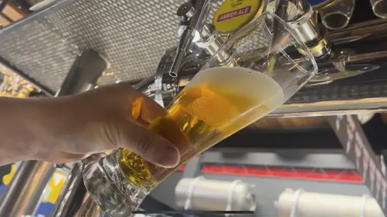 The-Brewer-Hub The-Brewer-Hub