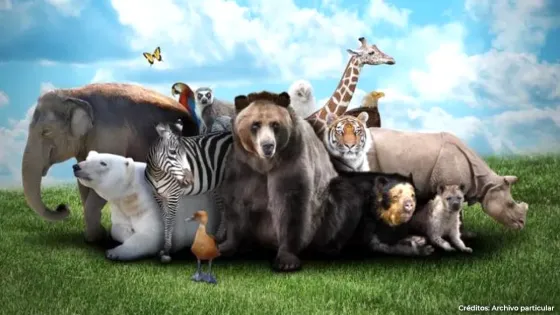 Día Mundial de los Animales Día Mundial de los Animales