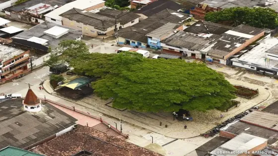 Asesinato de por lo menos tres campesinos en Briceño, Antioquia Otra masacre en Antioquia deja por lo menos tres personas sin vida