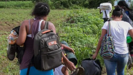 Más de 180 migrantes venezolanos se declaran víctimas de desplazamiento forzado en Medellín Más de 180 migrantes venezolanos se declaran víctimas de desplazamiento forzado en Medellín