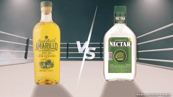 Néctar y Amarillo Néctar y Amarillo