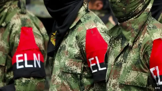 eln eln