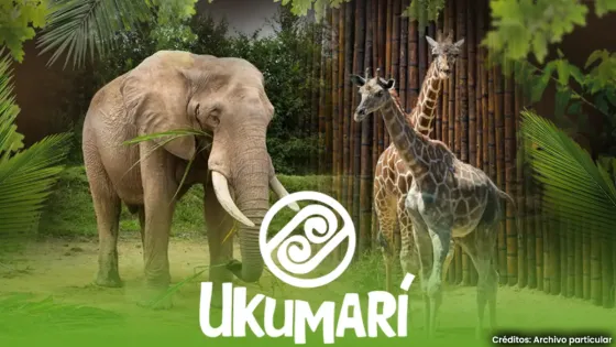Bioparque Ukumarí, Pereira Bioparque Ukumarí, Pereira