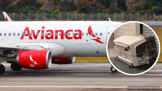 Avianca