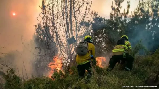 Bomberos