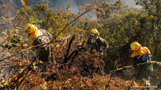 Bomberos piden a los ciudadanos no llevarles comida a los lugares de incendios Bomberos piden a los ciudadanos no llevarles comida a los lugares de incendios