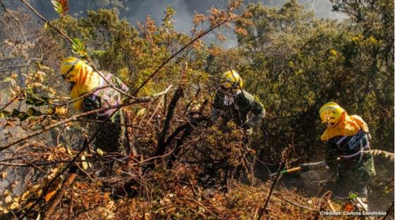 Bomberos