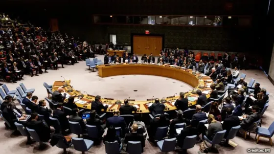 Consejo de Seguridad de la ONU Consejo de Seguridad de la ONU