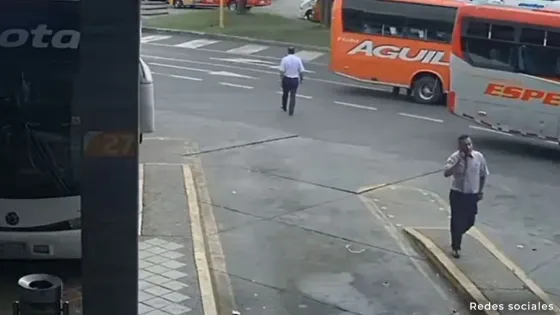 Bus Bus