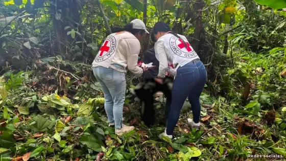 Farc Farc