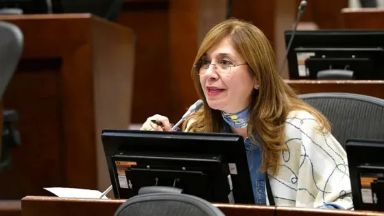 Reforma a la salud: Norma Hurtado denuncia intimidaciones por apoyo a archivo