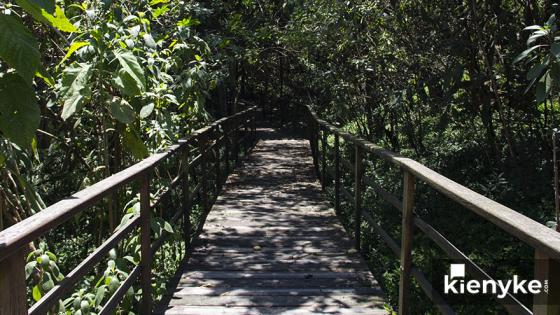 Humedal Córdoba: El paraíso Verde de Bogotá Humedal Córdoba: El paraíso Verde de Bogotá