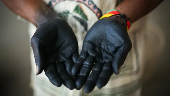 Gobierno Petro pidió perdón a las víctimas indígenas de la ‘fiebre del caucho’ Gobierno Petro pidió perdón a las víctimas indígenas de la ‘fiebre del caucho’