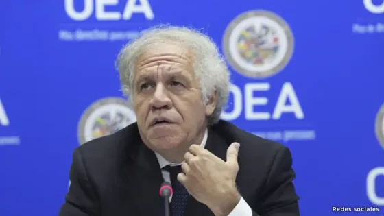 OEA OEA