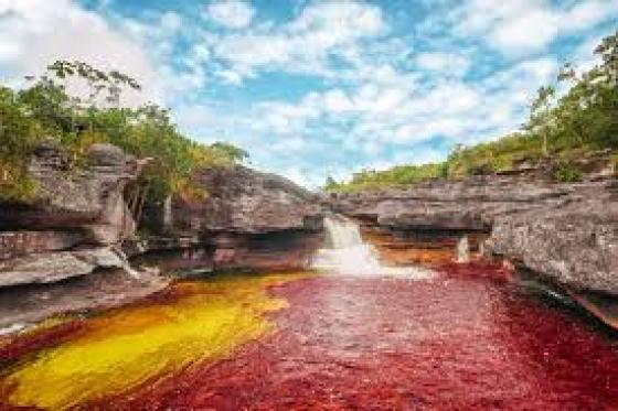 caño-cristales caño-cristales