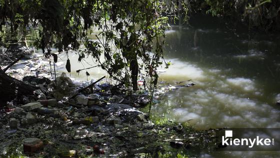 Humedal Córdoba: El paraíso Verde de Bogotá