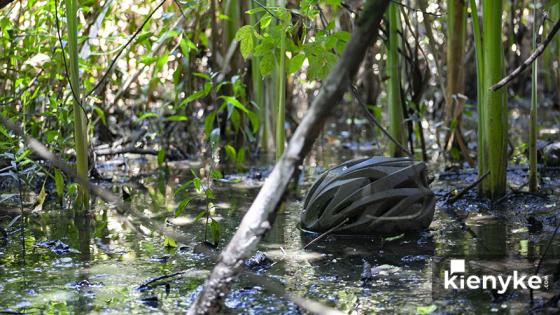 Humedal Córdoba: El paraíso Verde de Bogotá