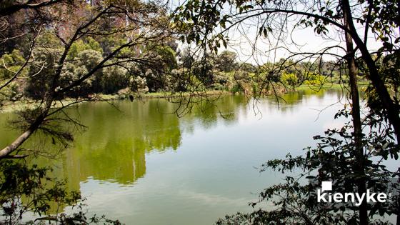 Humedal Córdoba: El paraíso Verde de Bogotá Humedal Córdoba: El paraíso Verde de Bogotá