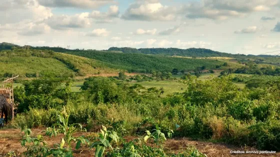 Montes de María