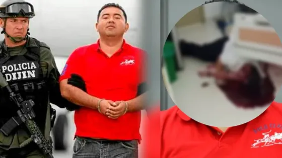 Lo que se sabe sobre el intento de asesinato al hijo de Enilce López, ‘La Gata’ Lo que se sabe sobre el intento de asesinato al hijo de Enilce López, ‘La Gata’