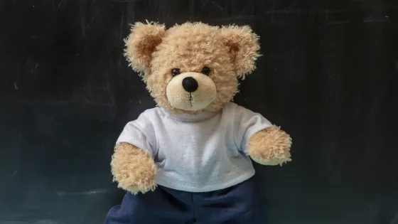 Build Bear Build Bear