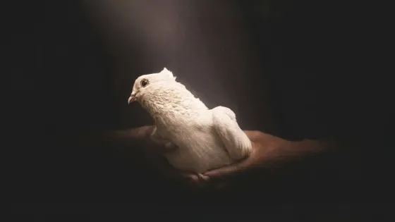 konciencia konciencia