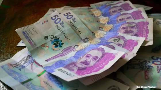 Plazo legal para pagar la prima de mitad de año en Colombia. Plazo legal para pagar la prima de mitad de año en Colombia.