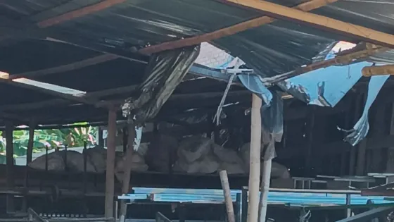 Disidencias recrudecen los ataques con drones en el Cauca ¿Qué se sabe? Disidencias recrudecen los ataques con drones en el Cauca ¿Qué se sabe?
