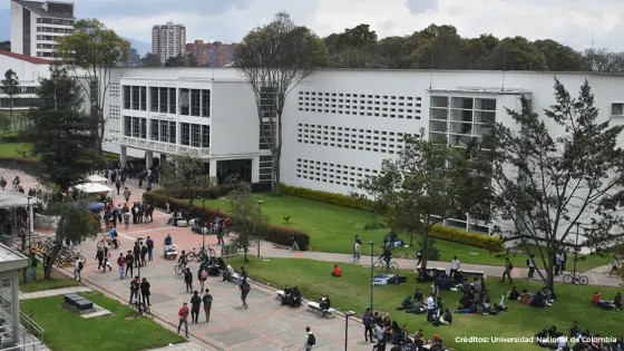 ¿Por qué revocaron la elección de Ismael Peña como rector de la Nacional? ¿Por qué revocaron la elección de Ismael Peña como rector de la Nacional?