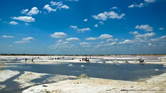 Salinas Marítimas de Manaure podrían revivir por iniciativa de Gobierno Salinas Marítimas de Manaure podrían revivir por iniciativa de Gobierno
