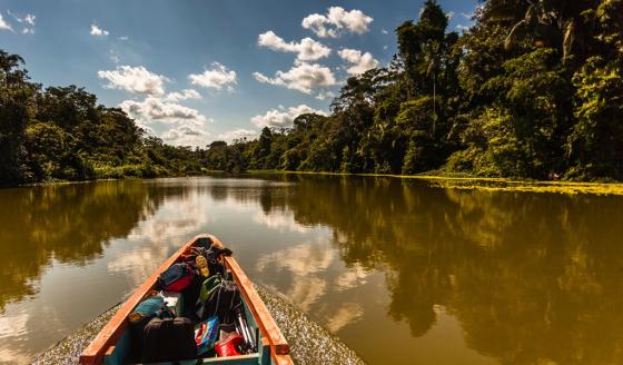 Amazonas Amazonas