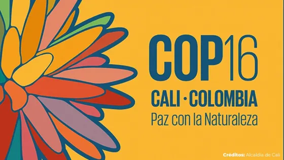 cop16 cop16