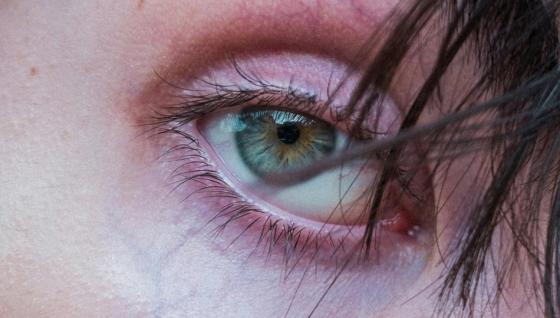 Iris Iris