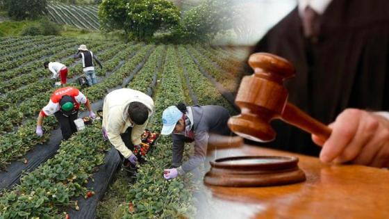 Gobierno radica el proyecto de ley que regula la Jurisdicción Agraria Gobierno radica el proyecto de ley que regula la Jurisdicción Agraria