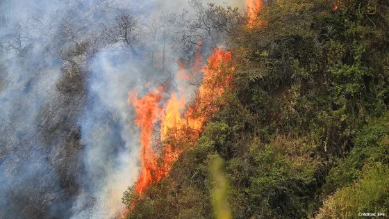 incendio-forestal incendio-forestal